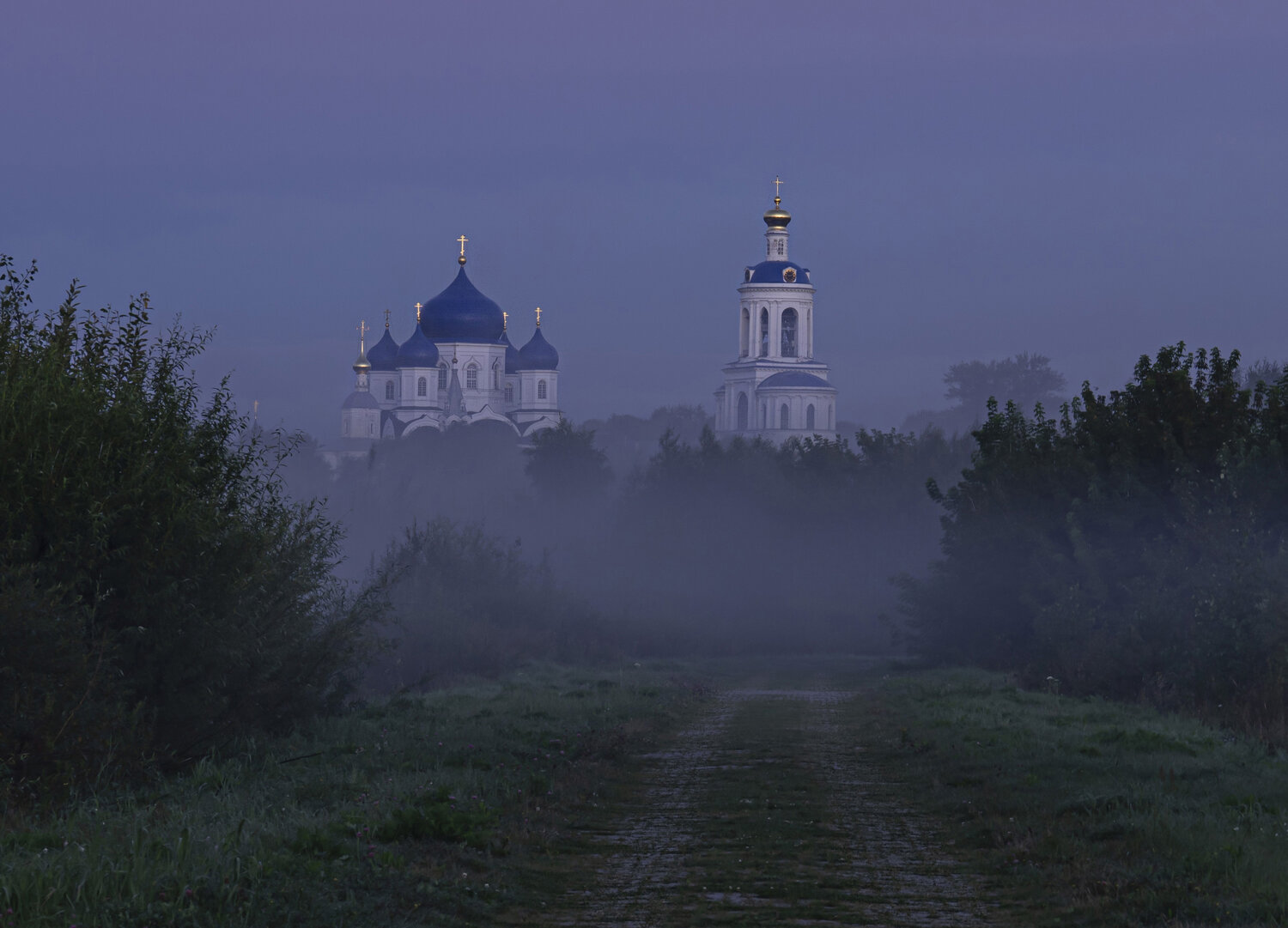 боголюбово, монастырь., Дейнекина Галина