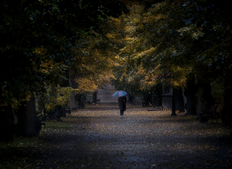 выборг, нд, что такое осень?, autumn, осень, ленинградская область, ленобласть, ленобласть нд, leningrad region, vyborg, городской пейзаж Прогулка под дождем фото превью