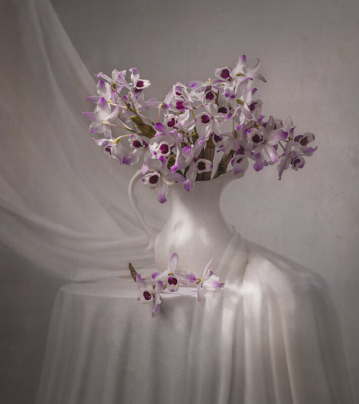 Still life, orchid, flower, white, texture, light Lilac фото превью