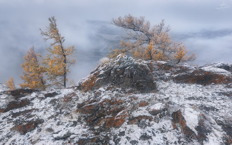 На семи ветрах .. фото превью