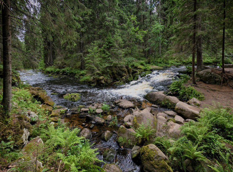 карелия., лес., долина, водопадов.  фото превью