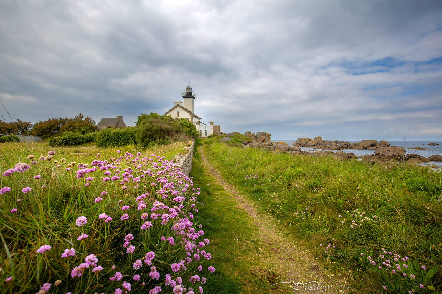 The little lighthouse. Автор: Eugenia Righi brittany, bretagne, france, lighthouse, flowers, grass, landscape, Eugenia Righi
