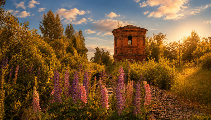 Малая Вишера фото превью