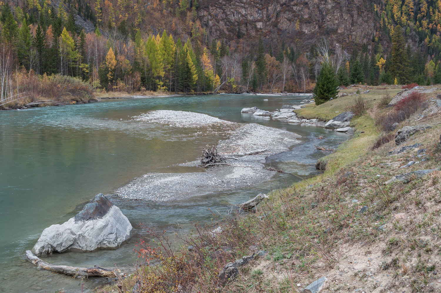 алтай, осень, река чуя, осенняя палитра, Вадим Душкин