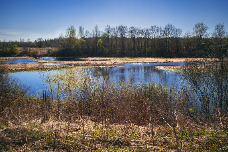 пейзаж, река, весна, природа, landscape, nature, spring, river Весенние разливы фото превью