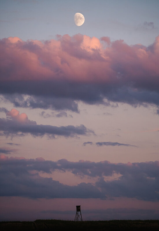 czech, minimalism, dream, moon, summer, vibe, clouds Under the moon фото превью
