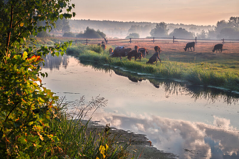 ** фото превью