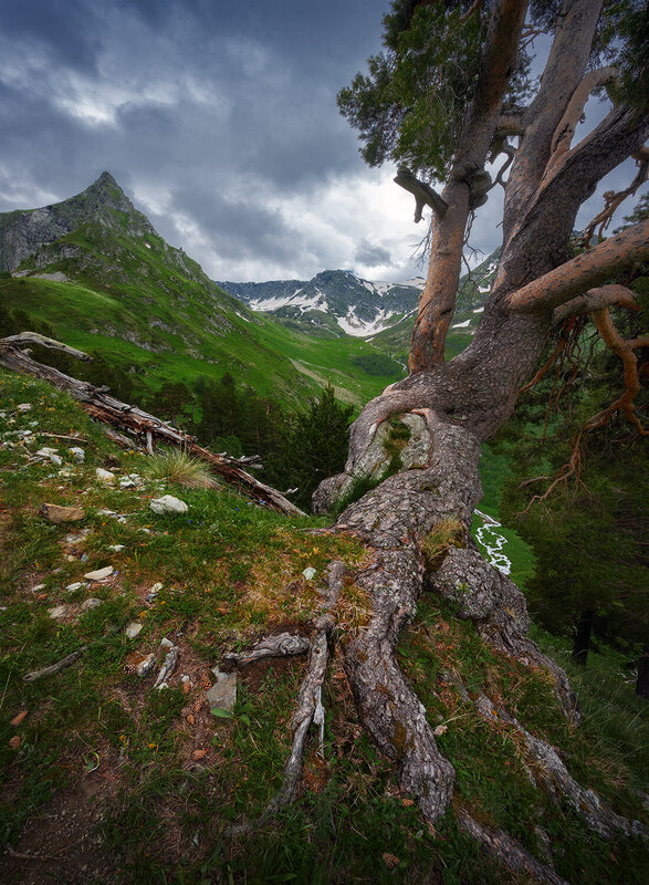 Загедан фото превью
