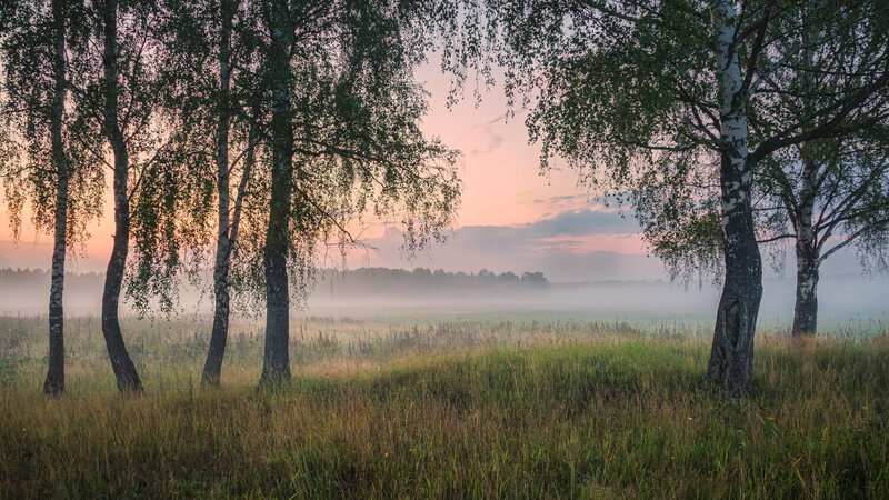 * фото превью