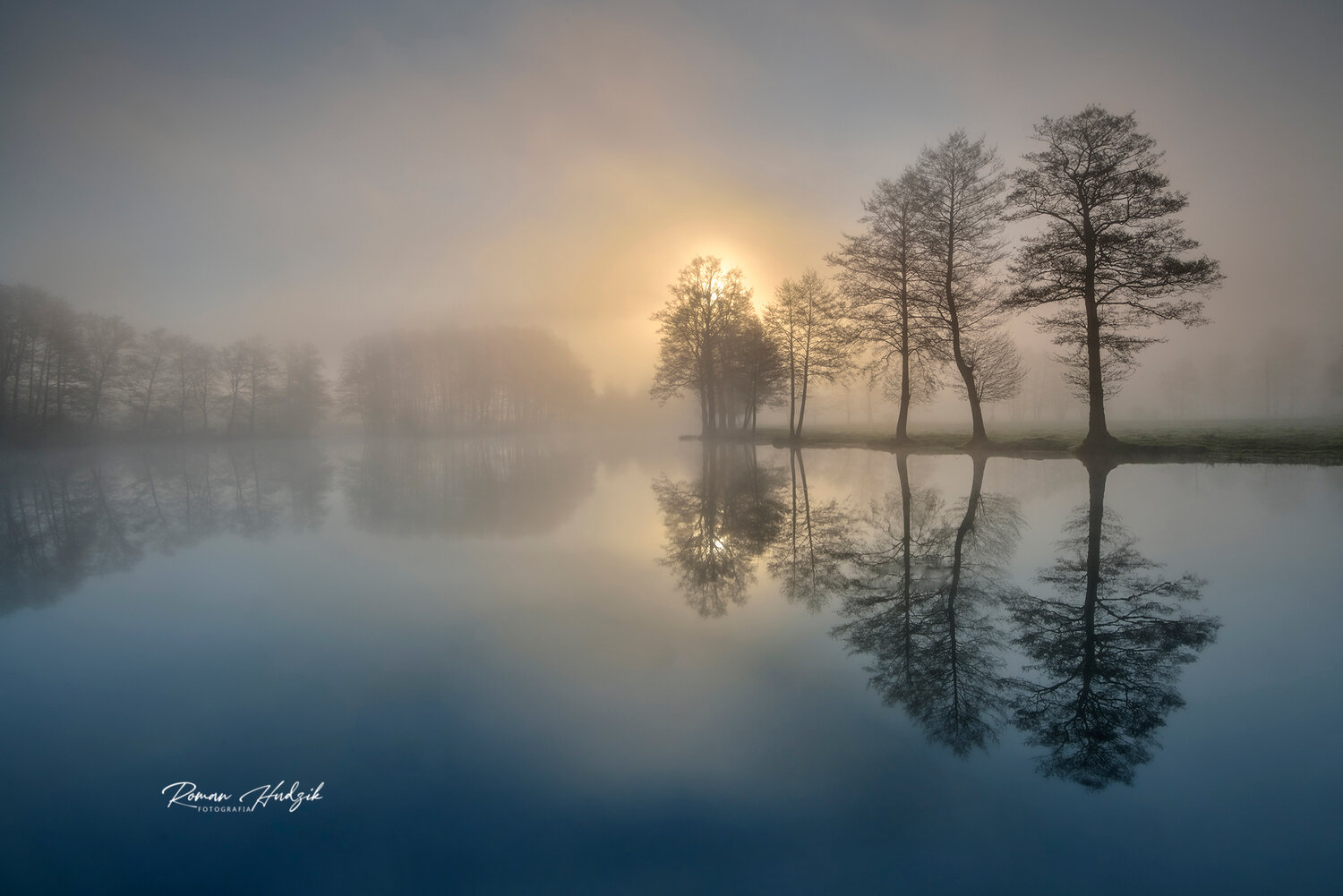 Sunrise, Lanscape, Tree, Lake, Fog, Nikon, Nikon D 800, Hudzik Roman