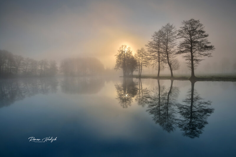 Sunrise, Lanscape, Tree, Lake, Fog, Nikon, Nikon D 800 Sunrise. фото превью