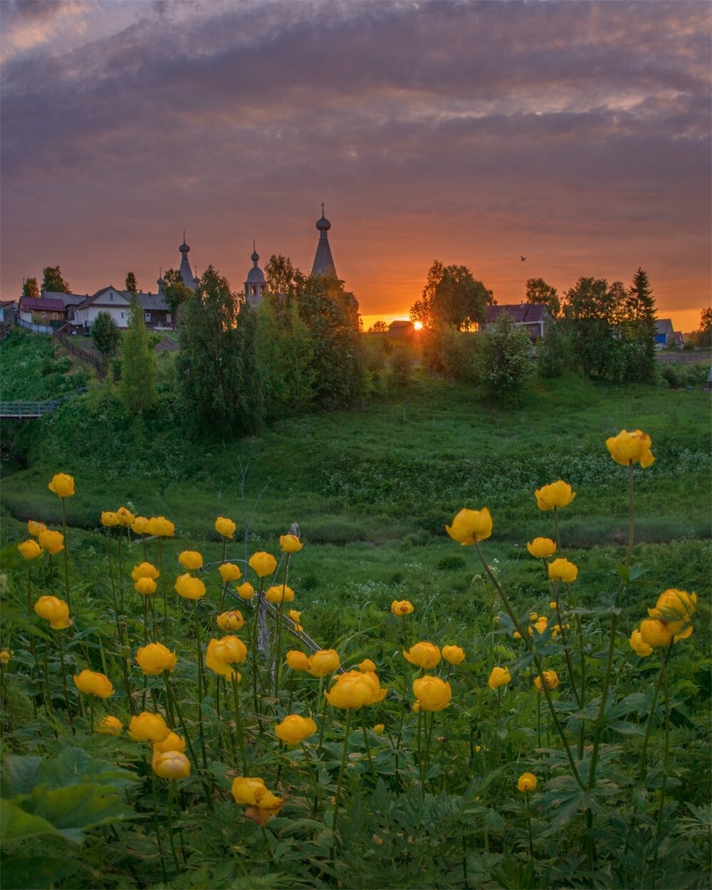 , Петр Косых