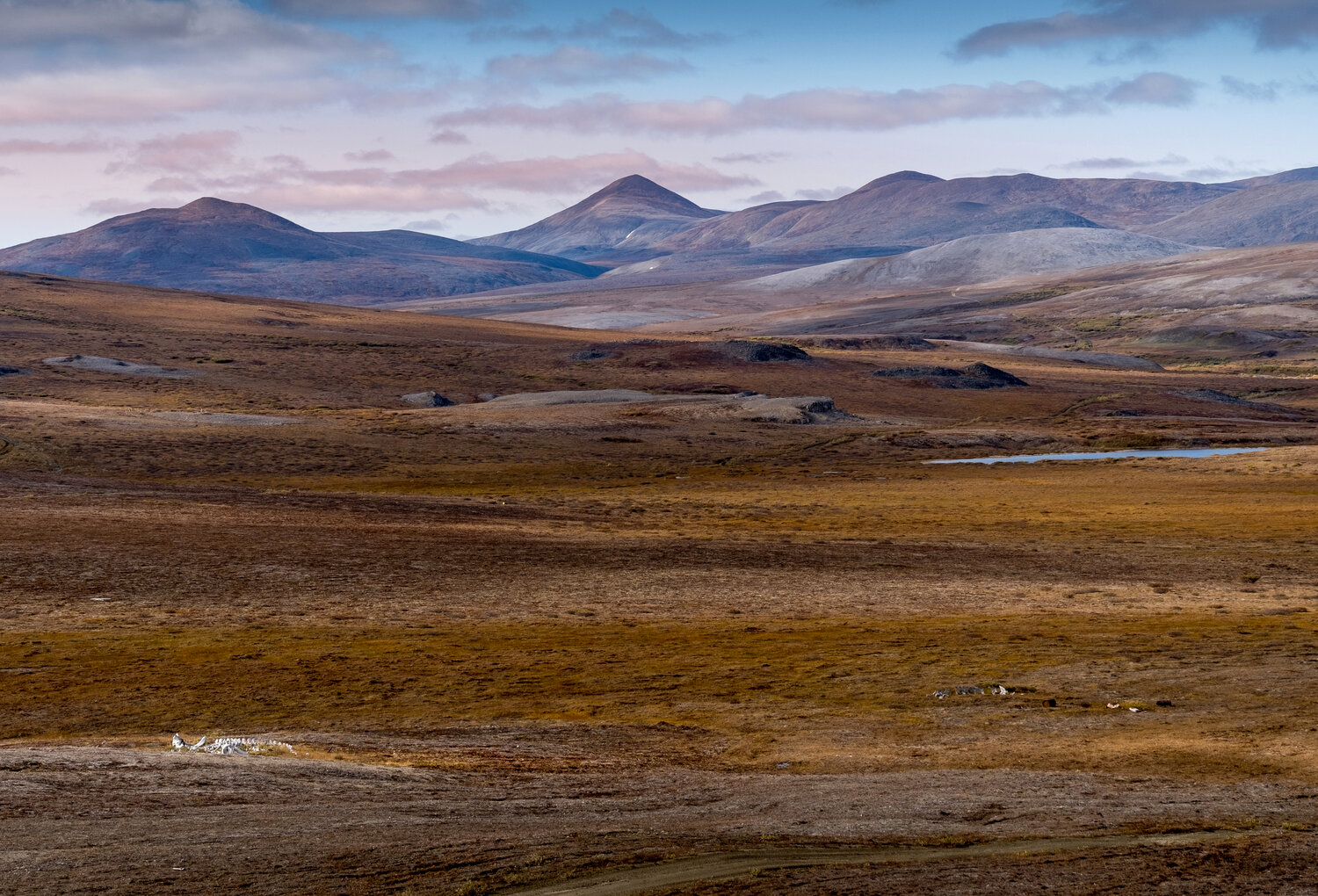 chukotka, чукотка, арктика, arctic, нд, север, чукотка нд, осень, что такое осень?, Демкина Надежда