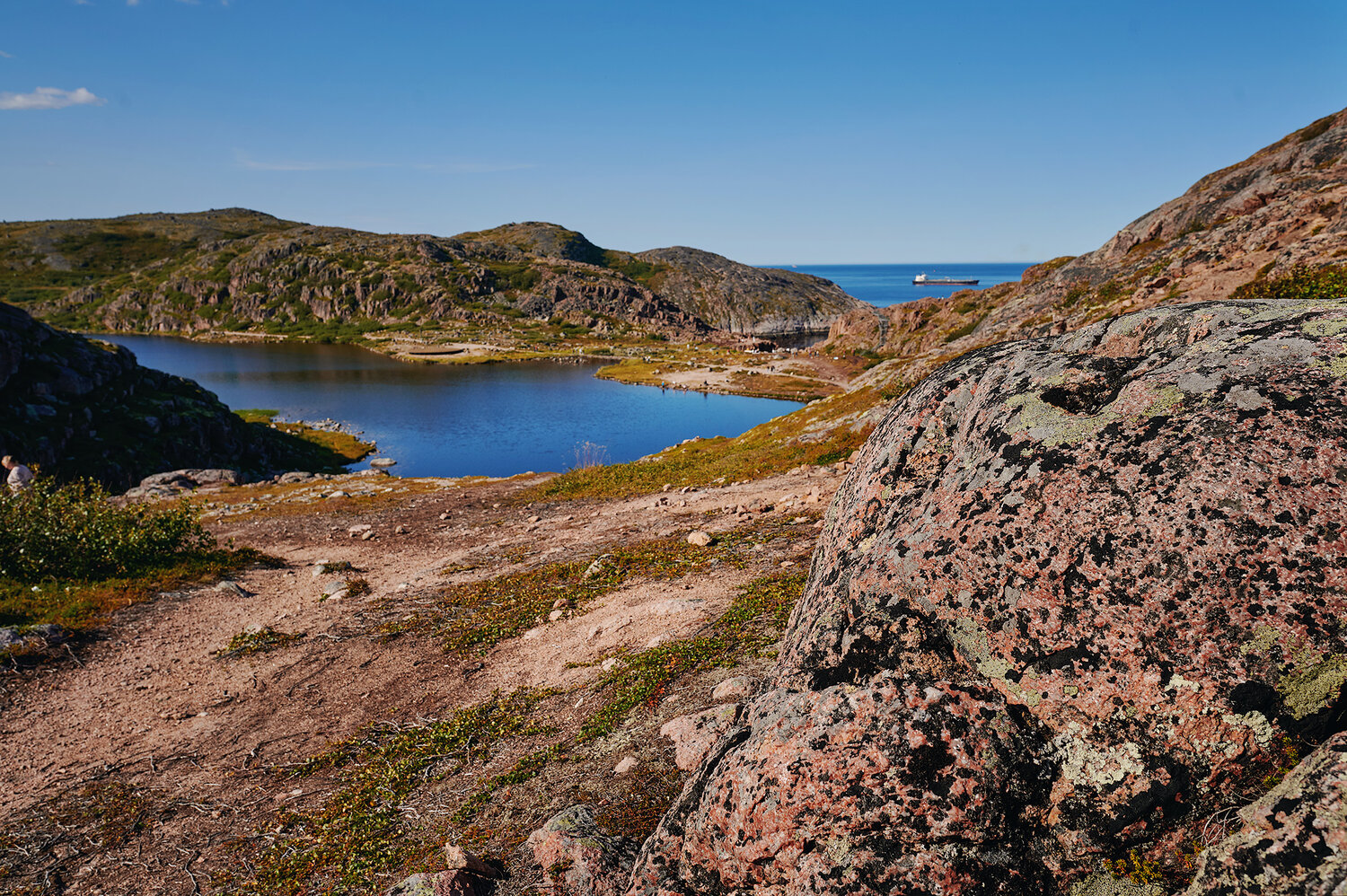 , Дарья
