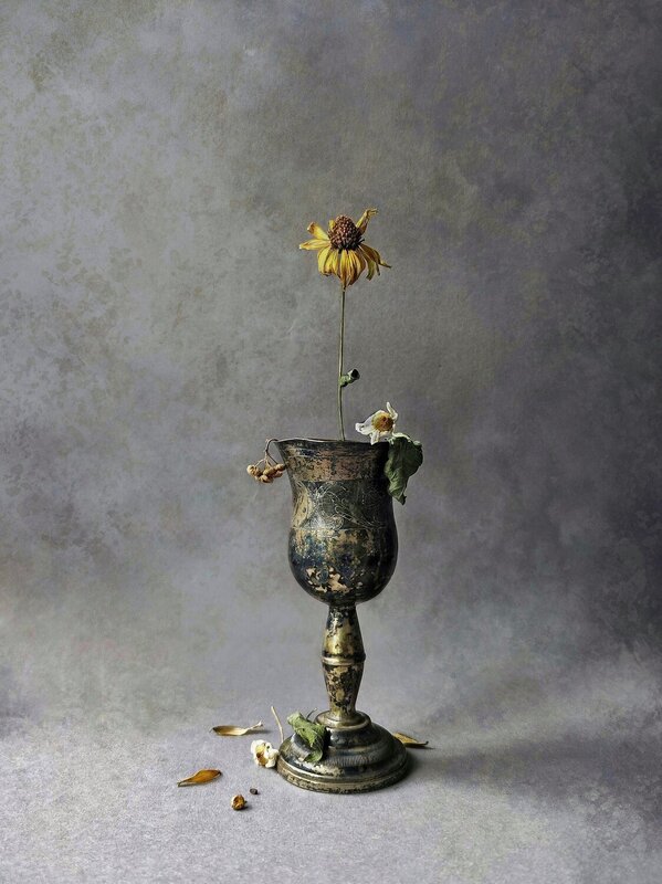 Birthday фото превью