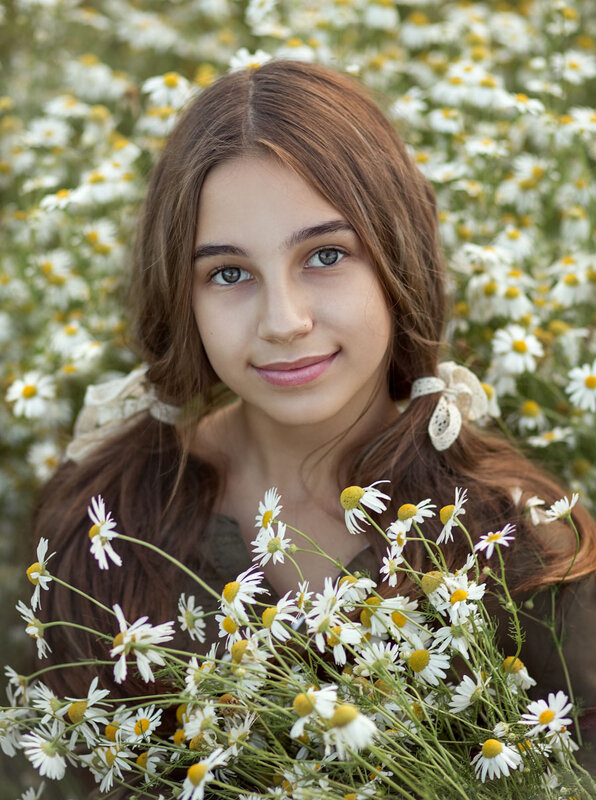 Ромашки фото превью