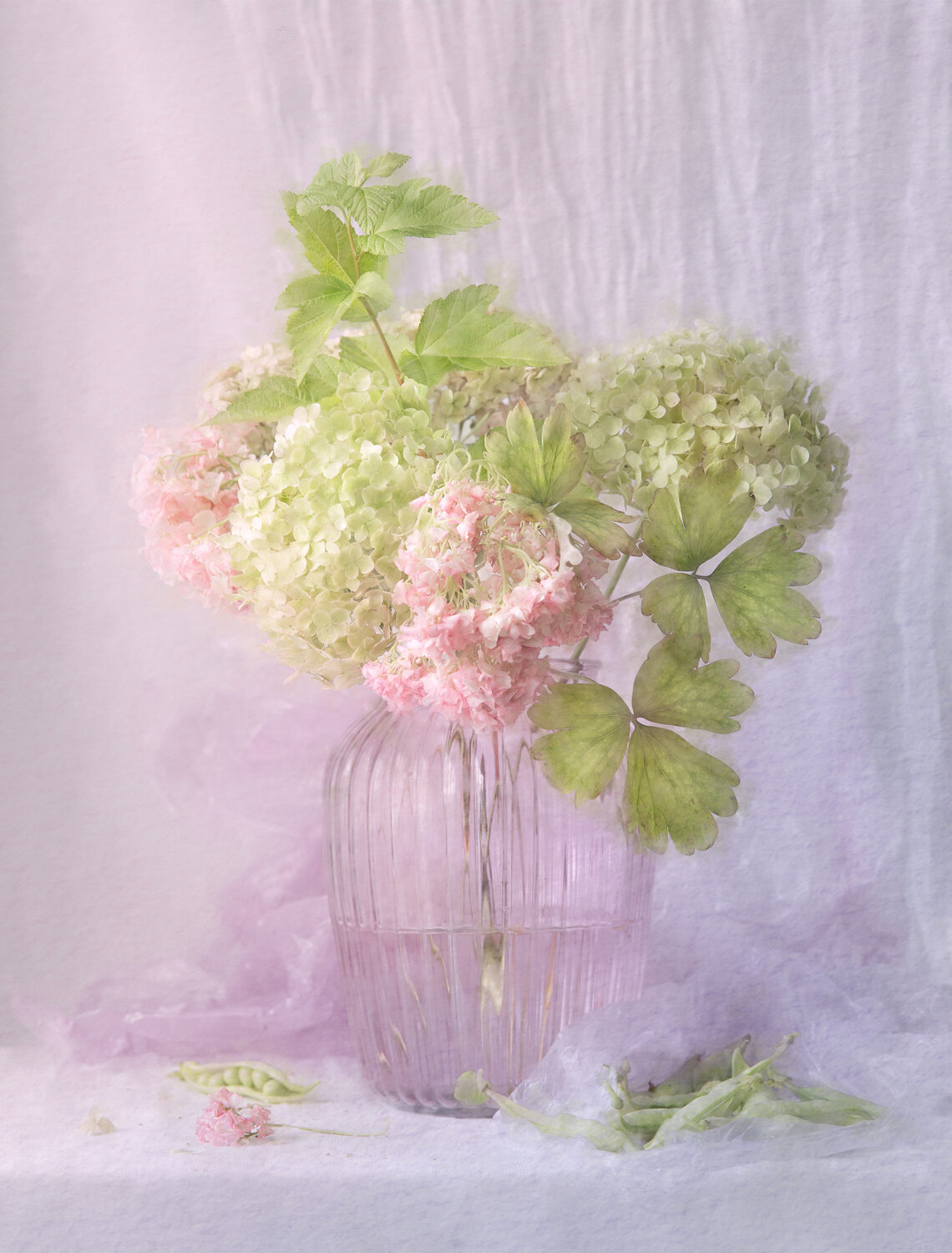 , Dina Ginevich