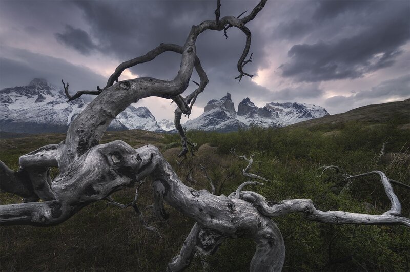 Torres del Paine, Chile фото превью