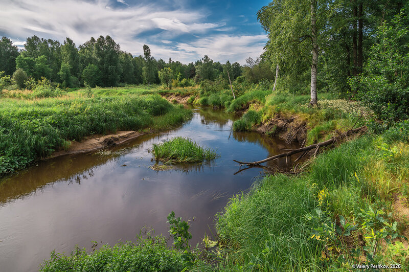 лесная река, излучина реки, заросшие берега, лето, мещёра, рязанская область 2 взгляда на одну излучину фото превью