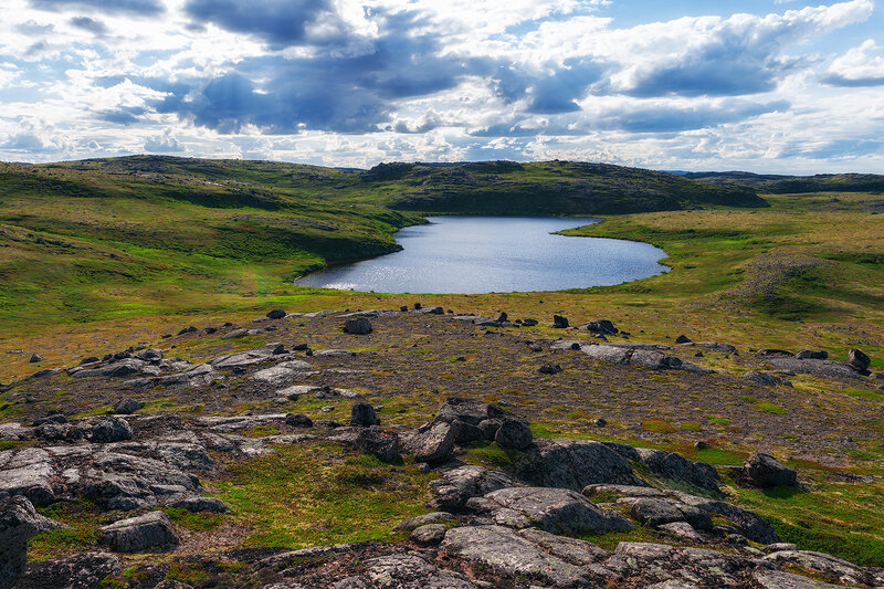 русский север, север, пейзаж, прирожа, тундра, заполярье, russian north, north, tundra, landscape, nature Бескрайний простор фото превью