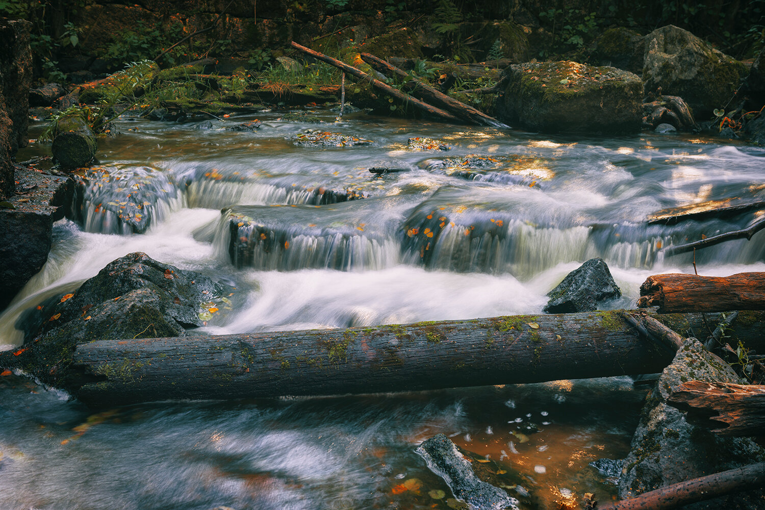 пейзаж, река, природа, пороги, лес, вода, river, water, nature, landscape, forest, Волкова Анна