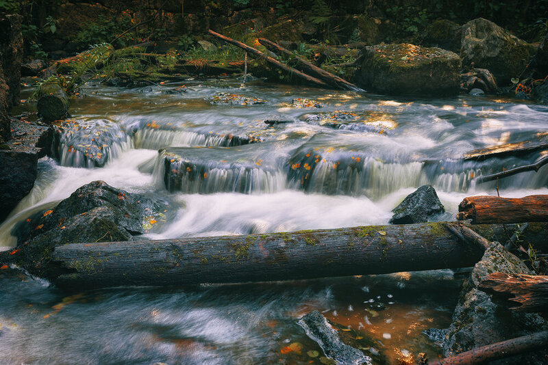 пейзаж, река, природа, пороги, лес, вода, river, water, nature, landscape, forest Бурный поток фото превью