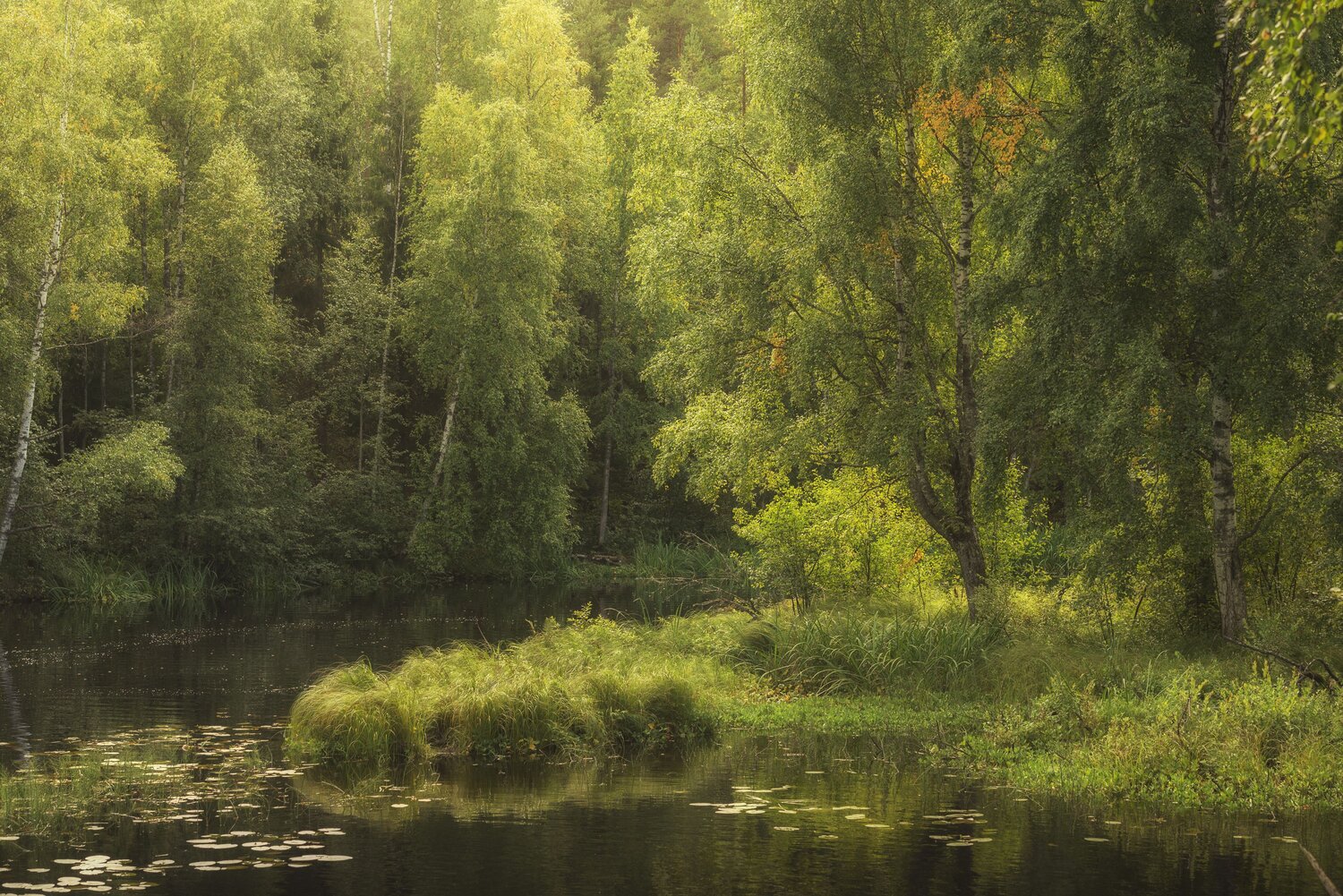 , Максим Вышарь