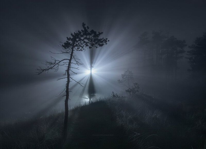 landscape, nature, night, ленобласть, карельский перешеек, туман, болото, russia, ленинградская область, ночь, туманы, болота, ночной пейзаж, пейзажи россии, звёзды, природа Ночь на болоте фото превью