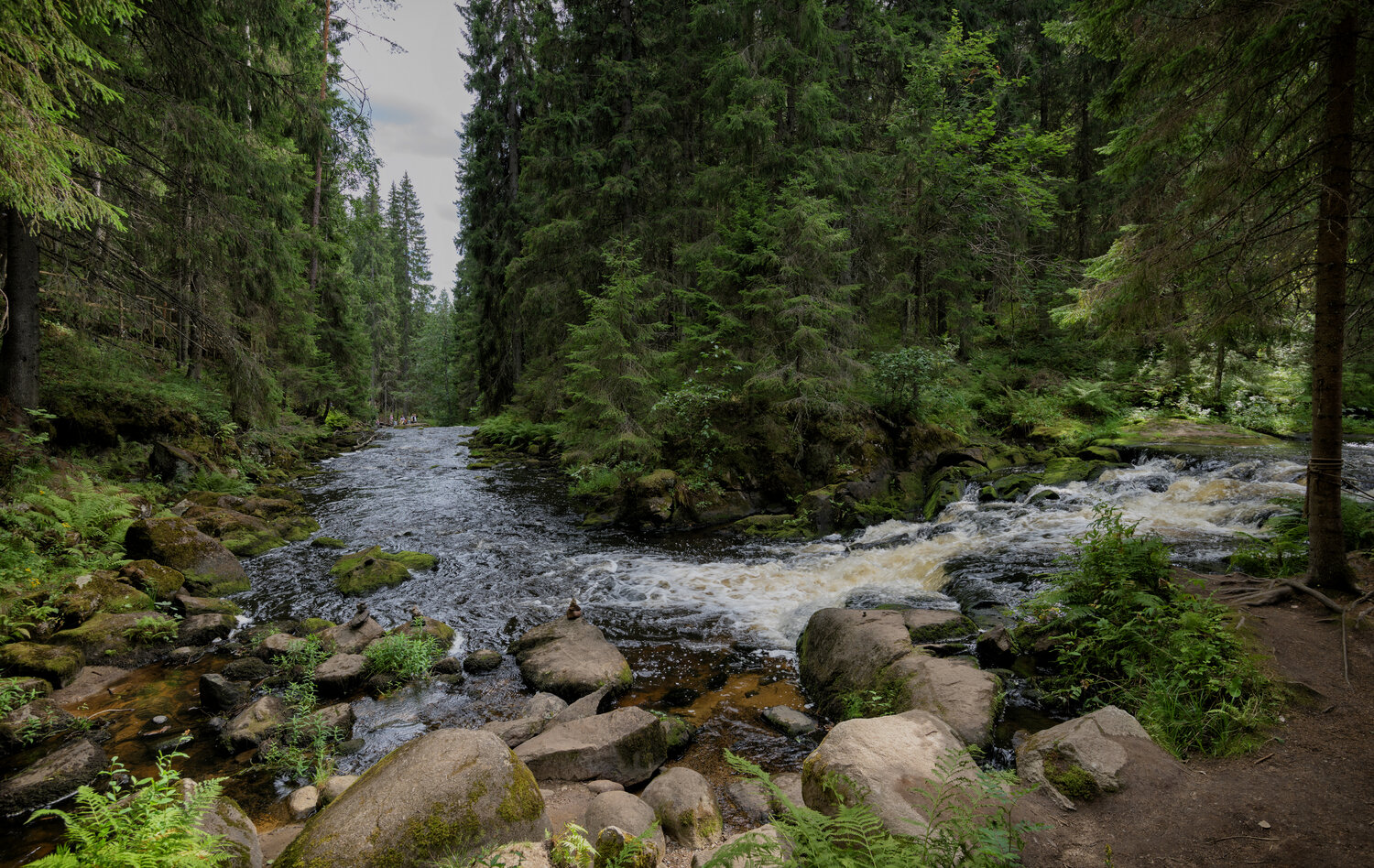 карелия., лес., долина, водопадов., Тихонов Дмитрий