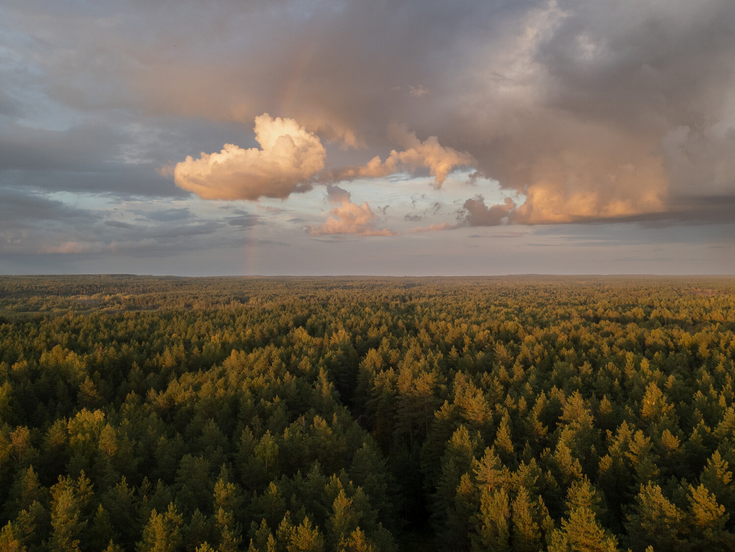, Карепанов Евгений