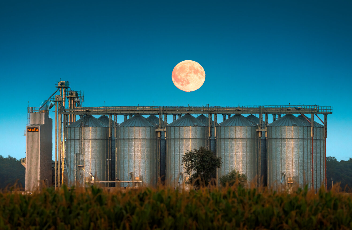 moon, fullmoon, corn moon, full moon, Wojciech Grzanka