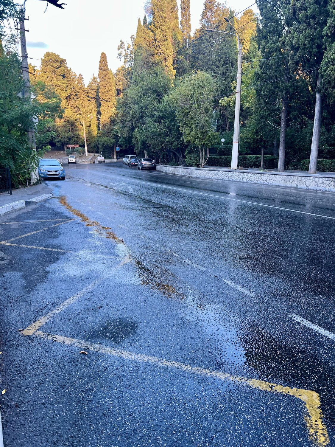 , Самвел Галустов