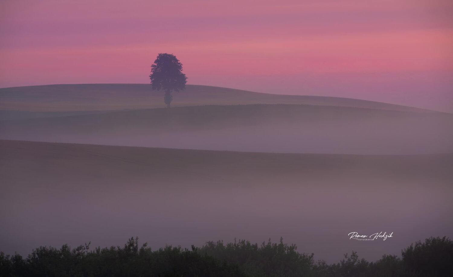 Tree, Sunrise, Fields, Fog, Landscape, Nikon, Nikon D 850, Hudzik Roman