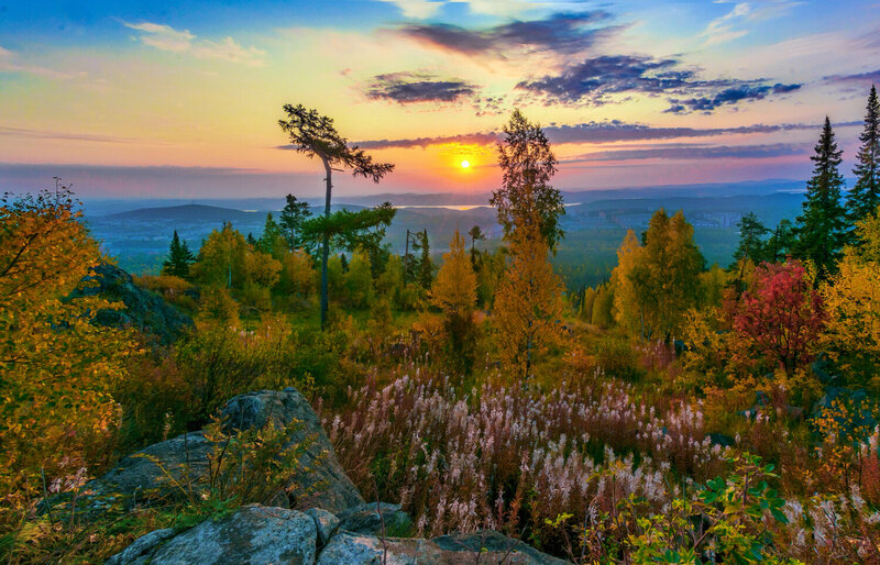 Осенние цветы фото превью