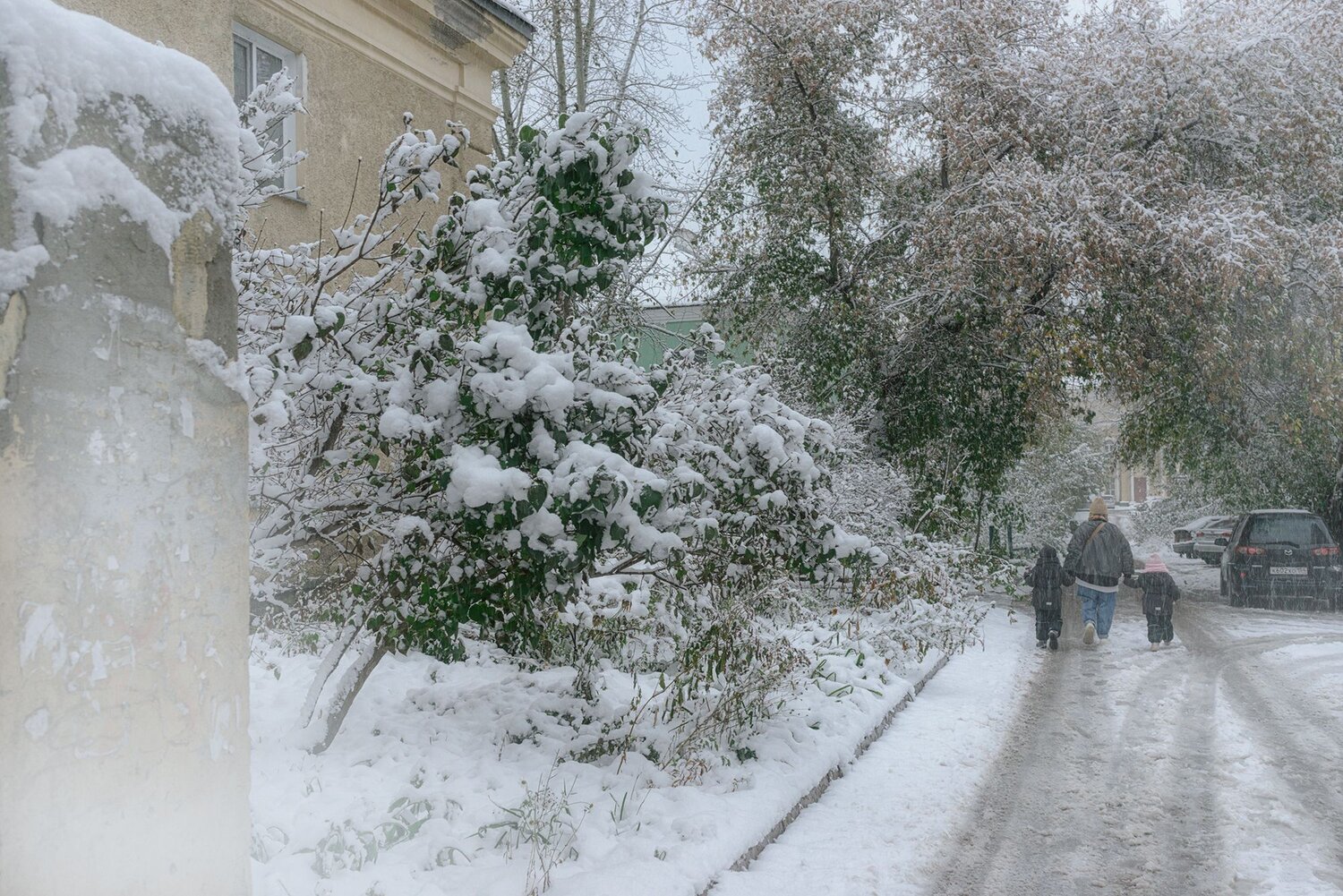 ,  Мария