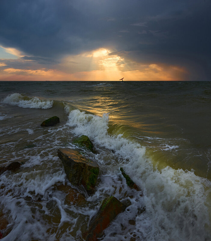 * фото превью