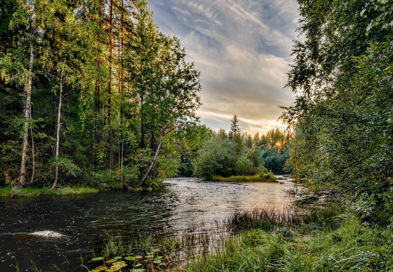 вода, река, авгст, закат, вечер, карелия Вечер на реке фото превью