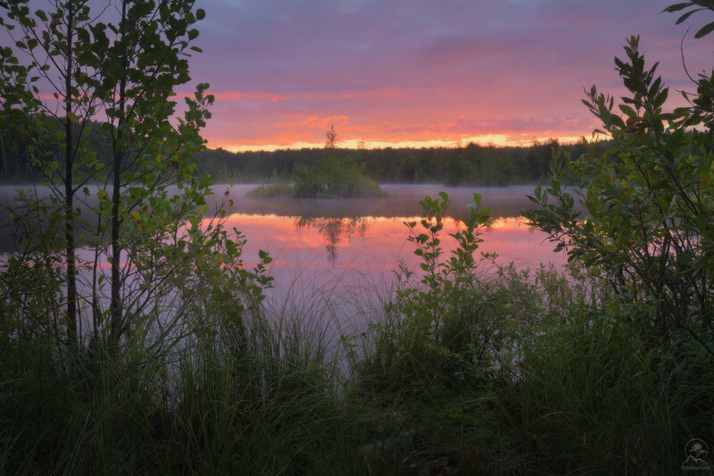 болота фото превью