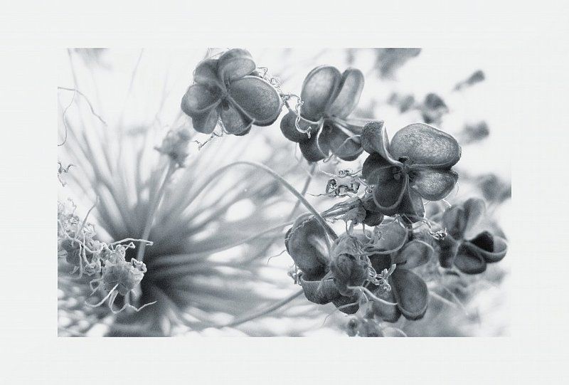 ......froid...... фото превью