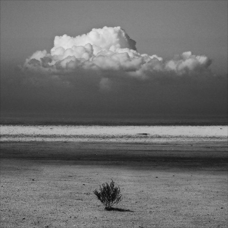 House Of The Rising Sun фото превью