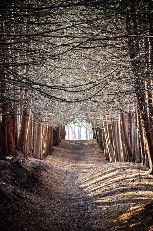 *** фото превью