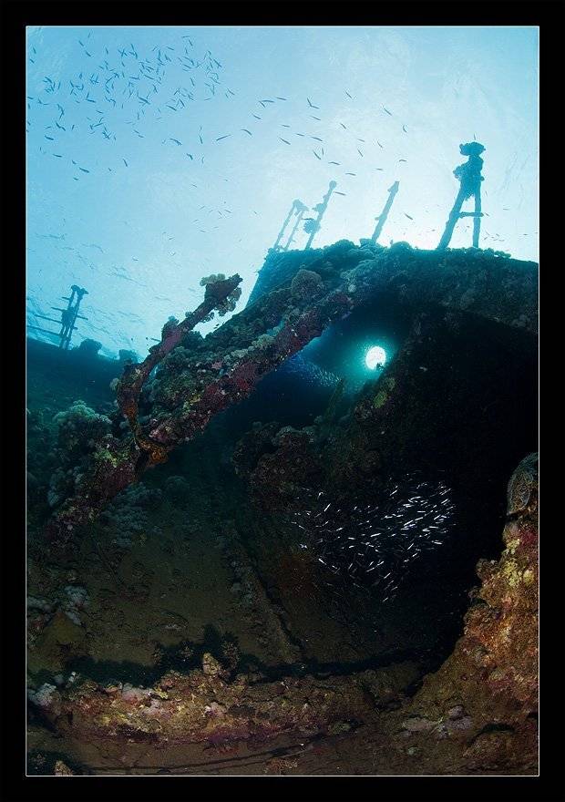 , Нарчук Андрей