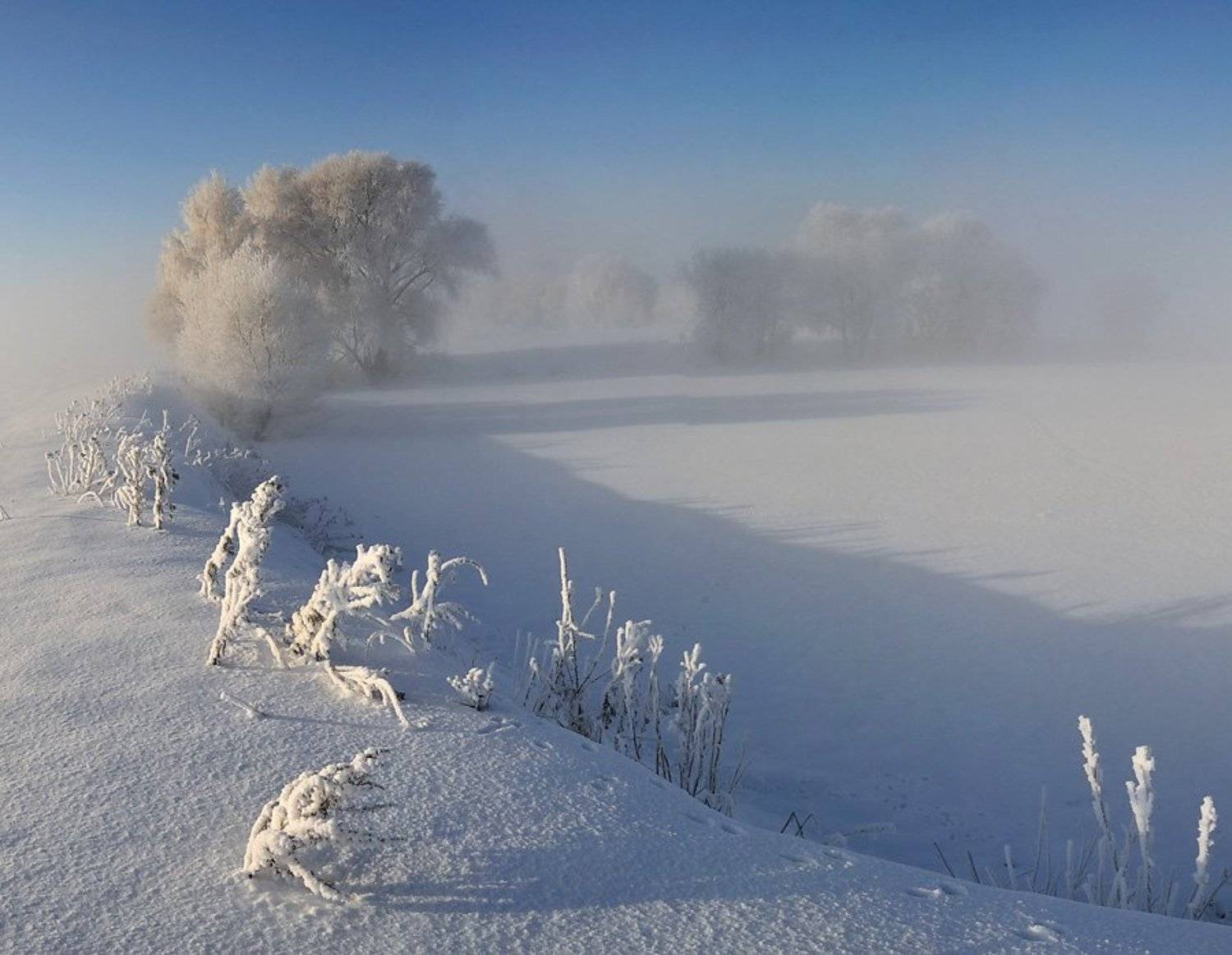 , Дмитрий Лялин