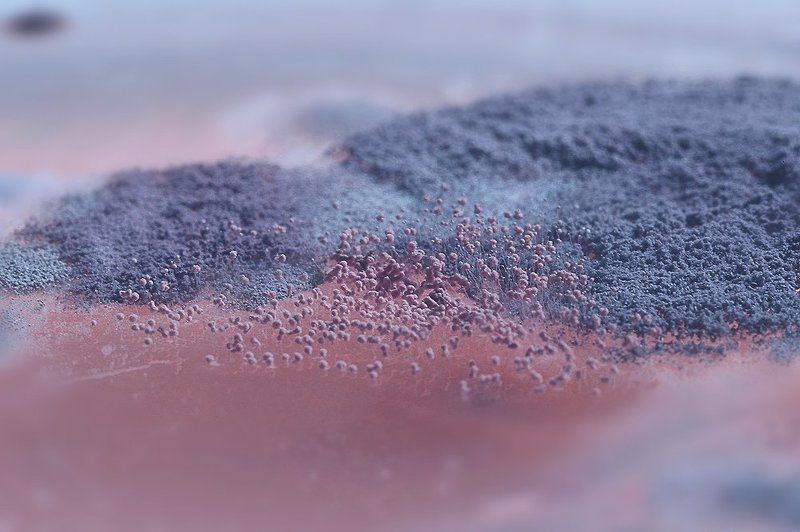 тайны неизведанной планеты фото превью