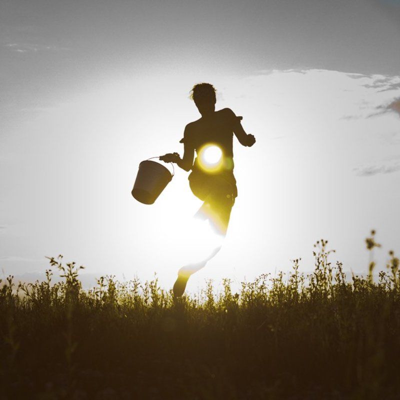 hunter of the sun фото превью