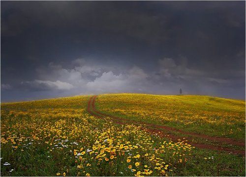 Дорога в Светлое 2