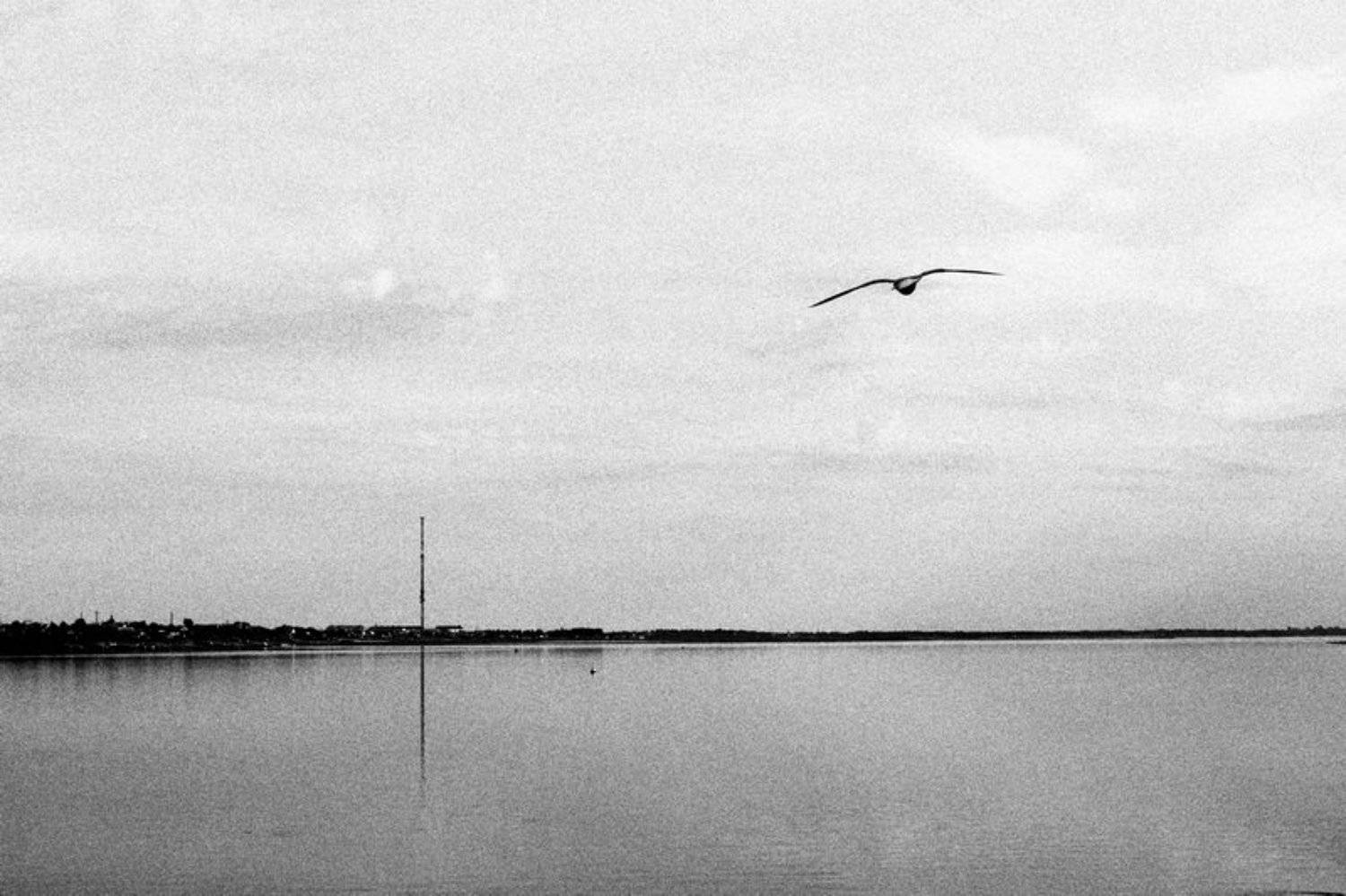 , Игорь Немилостивый