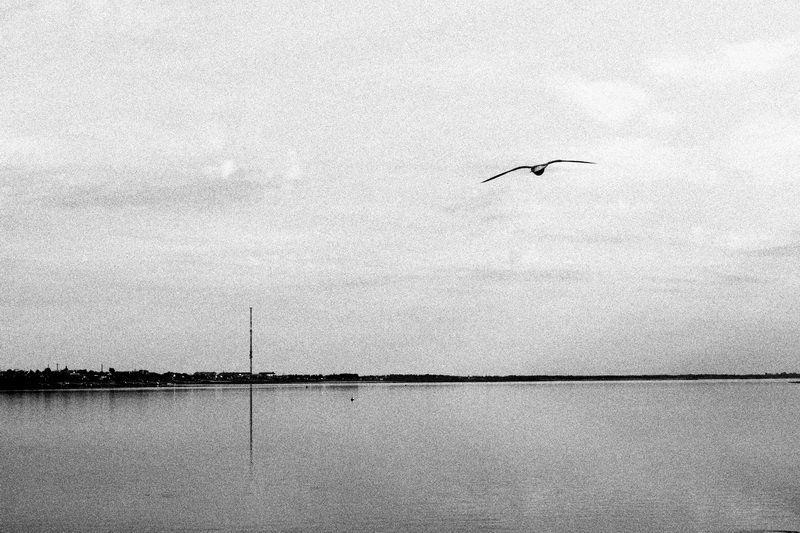 minimal фото превью