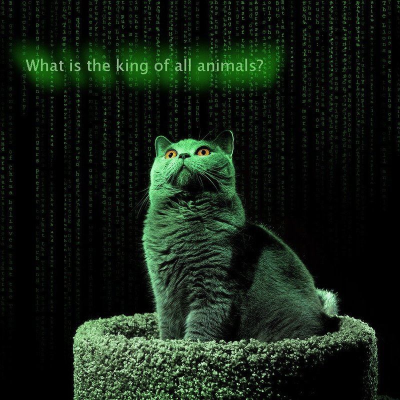 What is the king of all animals? фото превью