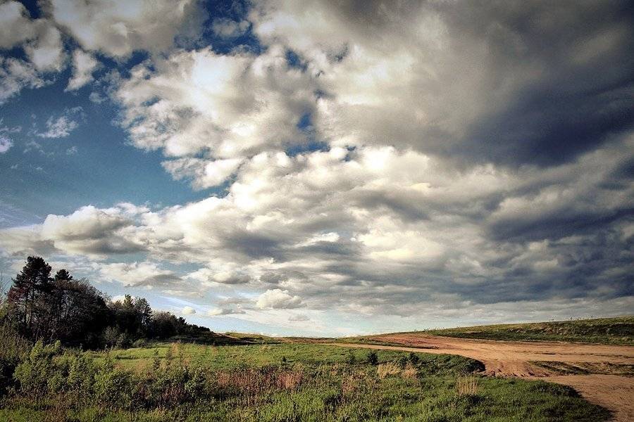тучи, поле, Дмитрий Середов